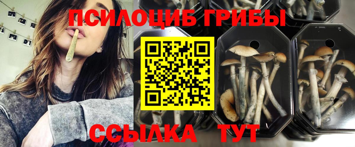 Нижний Тагил  Псилоцибиновые грибы Cubensis  Галлюциногенные грибы ЛСД  Вход с VPN 